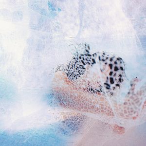 亚洲精品毛A片久久久
