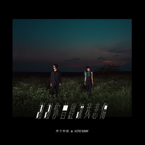 亚洲精品毛A片久久久
